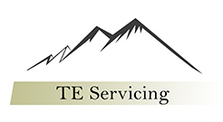 TE Servicing